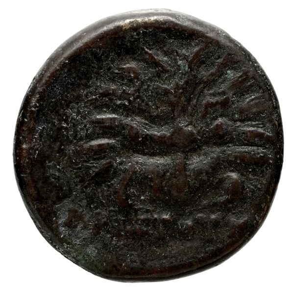 Samos Barron 1966 Pl. xxxi, 2, реверс, bnf-iris