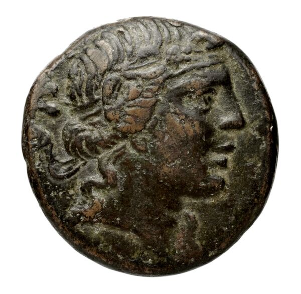 Panticapaeum Anokhin 1986 212, аверс, bnf-iris