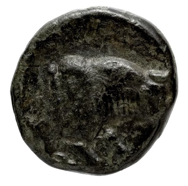 Caunus Konuk 1998 pl. 50, A, аверс, bnf-iris