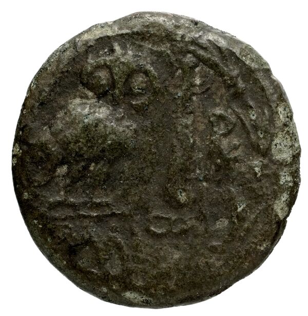 Herakleia ad Latmum Robert 1978 6-9, реверс, bnf-iris