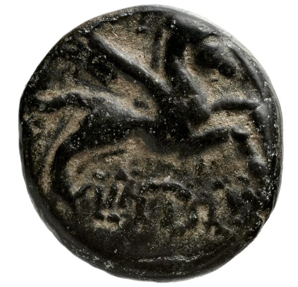 Bargylia BMC Bargylia 4, реверс, bnf-iris