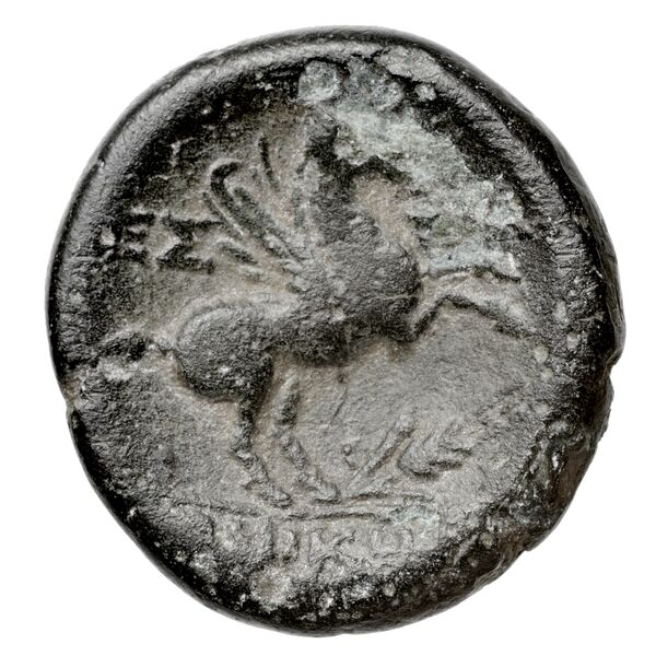 Thessalonica Kourempanas 2016 6, реверс, bnf-iris