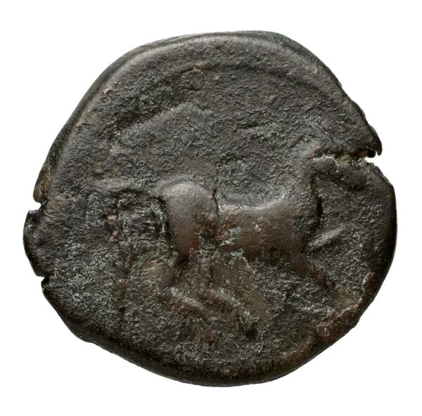 Carthaginian Empire Carthage Alexandropoulos 2007 19, реверс, bnf-iris
