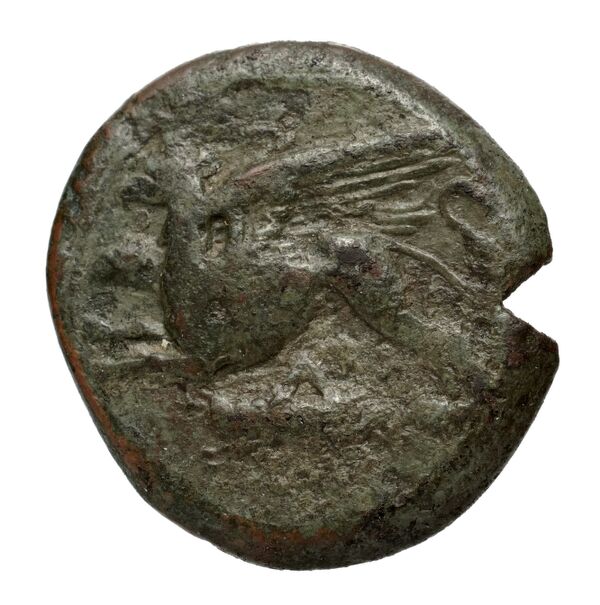 Caena Calciati 1983 1-25, аверс, bnf-iris