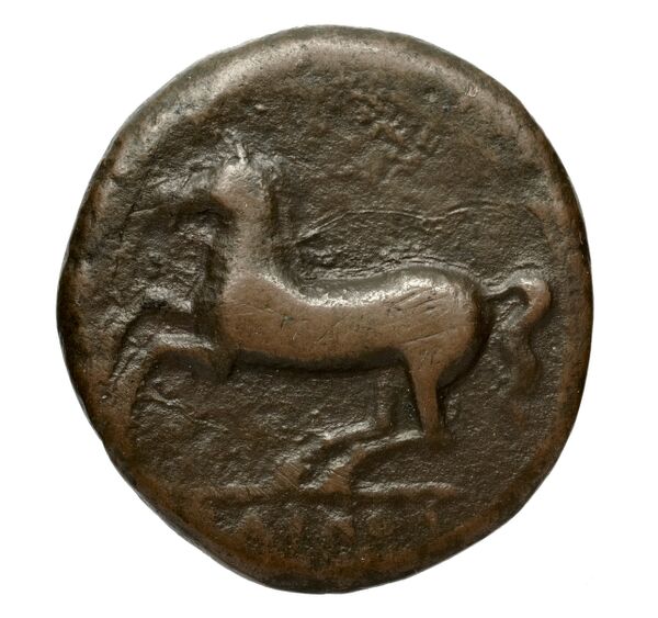 Caena Calciati 1983 1-25, реверс, bnf-iris