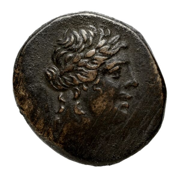 Panticapaeum MacDonald 2005 171; 188, аверс, bnf-iris