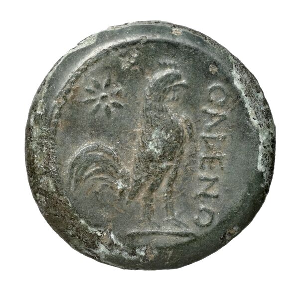 Cales Historia Numorum Italy 435, реверс, bnf-iris