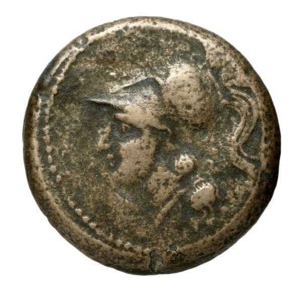 Cales Historia Numorum Italy 435, аверс, bnf-iris