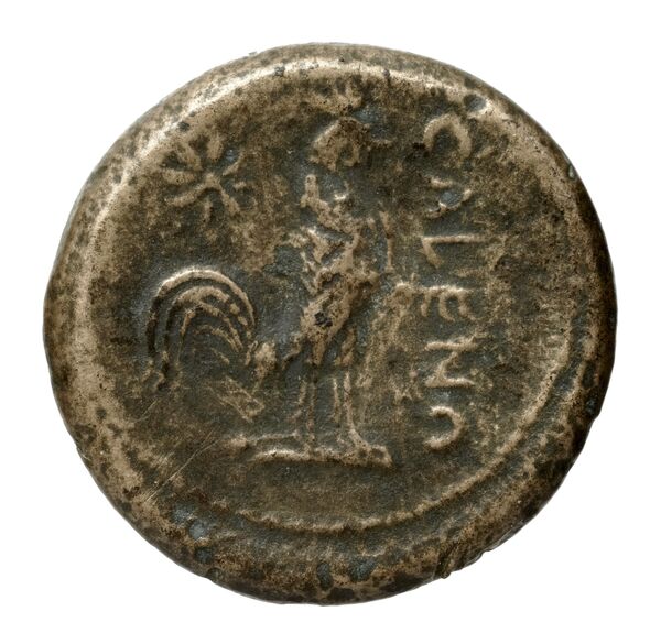 Cales Historia Numorum Italy 435, реверс, bnf-iris
