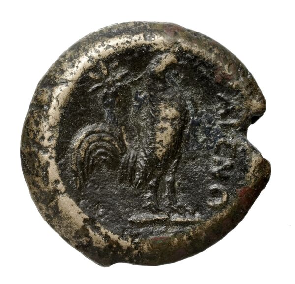 Cales Historia Numorum Italy 435, реверс, bnf-iris