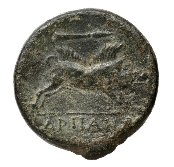 Arpi Historia Numorum Italy 642, реверс, bnf-iris