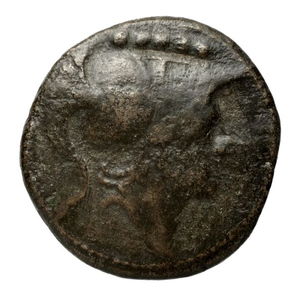 Luceria Historia Numorum Italy 678, аверс, bnf-iris