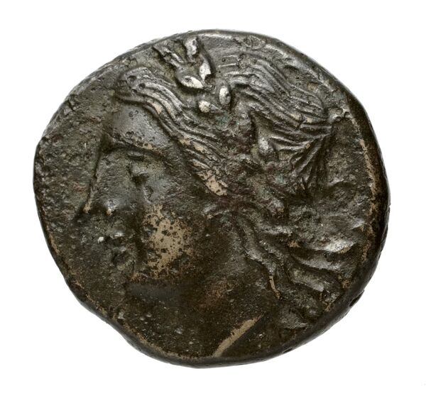 Metapontum Historia Numorum Italy 1675, bnf-iris