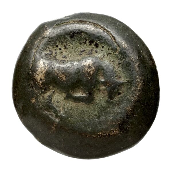 Poseidonia Historia Numorum Italy 1171-9, bnf-iris