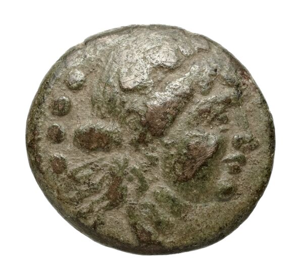 Paestum Historia Numorum Italy 1209, аверс, bnf-iris