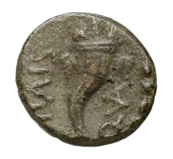 Paestum Historia Numorum Italy 1209, реверс, bnf-iris