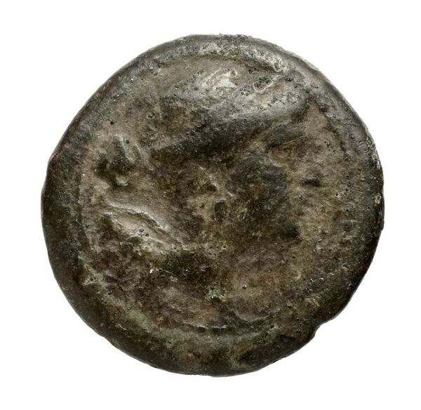 Paestum Historia Numorum Italy 1195, аверс, bnf-iris
