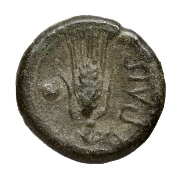 Paestum Historia Numorum Italy 1195, реверс, bnf-iris