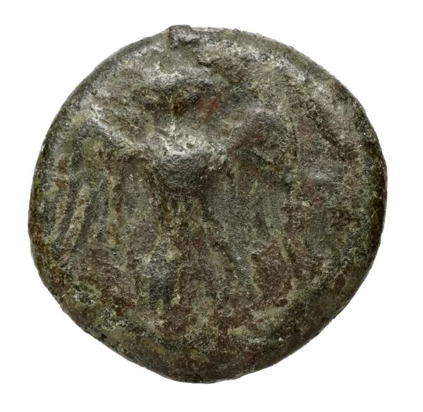 Velia Historia Numorum Italy 1337, реверс, bnf-iris