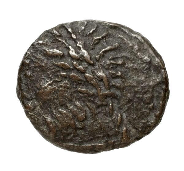аверс Velia Historia Numorum Italy 1336