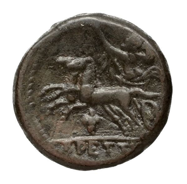 Brettii Bruttium Historia Numorum Italy 1989, реверс, bnf-iris