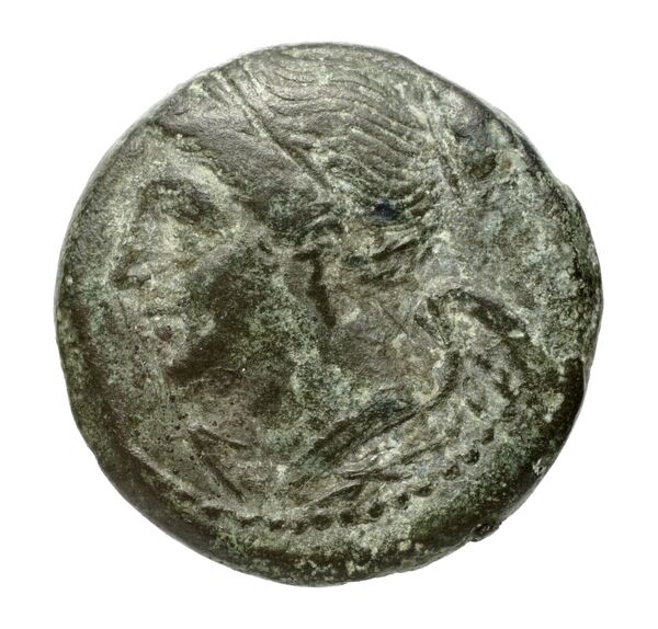 Brettii Bruttium Historia Numorum Italy 1989, аверс, bnf-iris