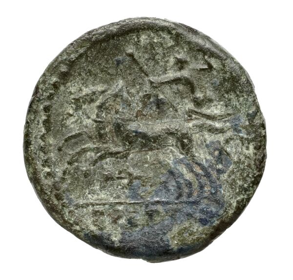 Brettii Bruttium Historia Numorum Italy 1989, реверс, bnf-iris