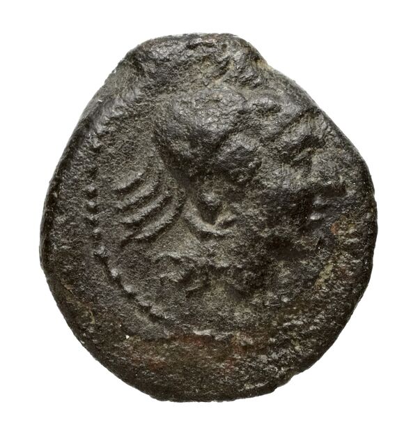 Brettii Bruttium Historia Numorum Italy 1998, аверс, bnf-iris