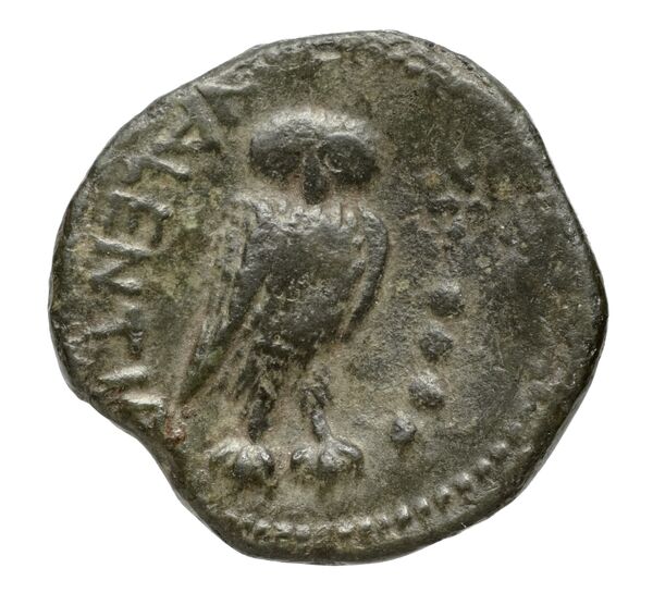 Vibo Valentia Historia Numorum Italy 2264, реверс, bnf-iris