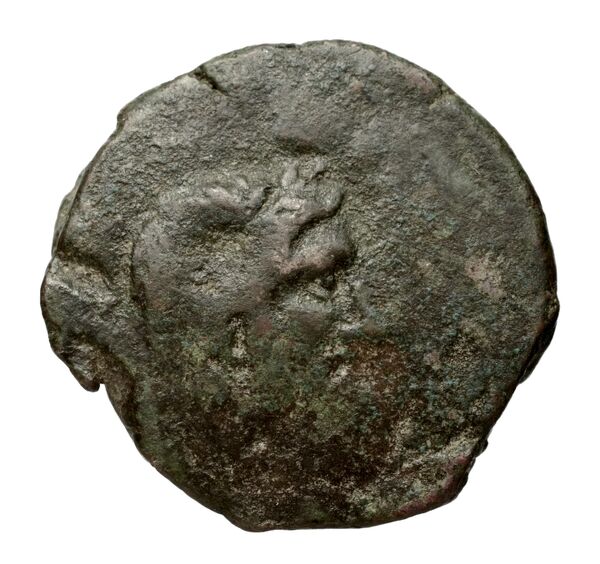 Locri Epizephyrii Historia Numorum Italy 2352, аверс, bnf-iris