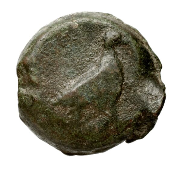 Locri Epizephyrii Historia Numorum Italy 2352, реверс, bnf-iris