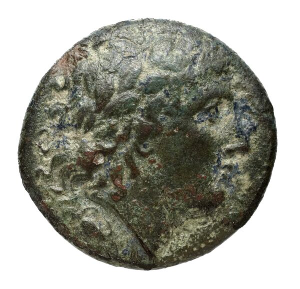 Nuceria Historia Numorum Italy 2438-46, аверс, bnf-iris