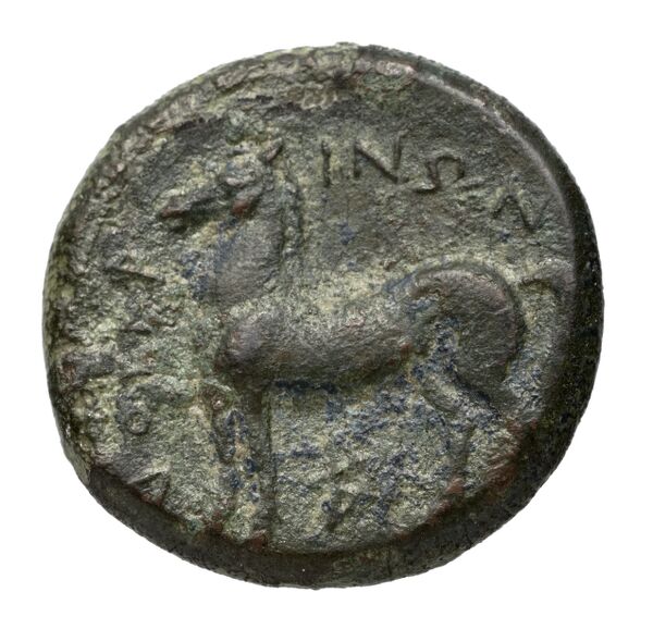 Nuceria Historia Numorum Italy 2438-46, реверс, bnf-iris