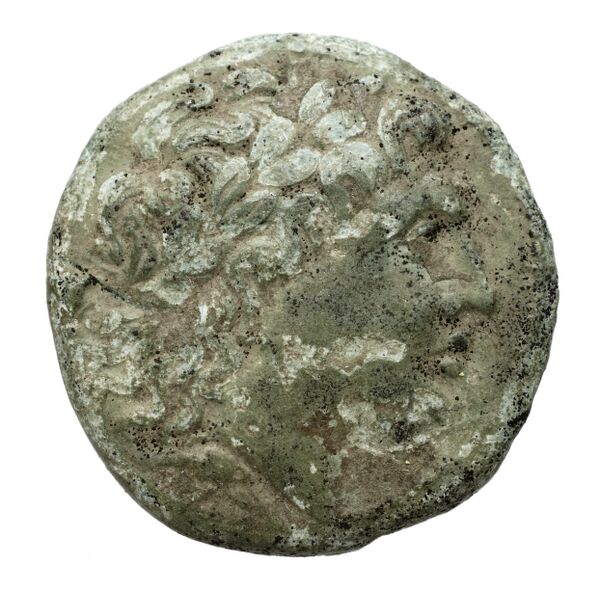 Nuceria Historia Numorum Italy 2438-46, аверс, bnf-iris