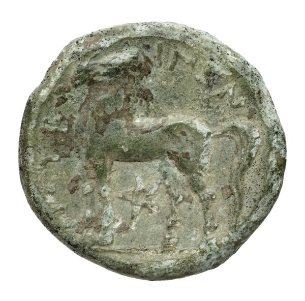 Nuceria Historia Numorum Italy 2438-46, реверс, bnf-iris