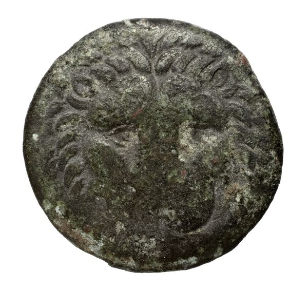Rhegium Historia Numorum Italy 2534-6, аверс, bnf-iris