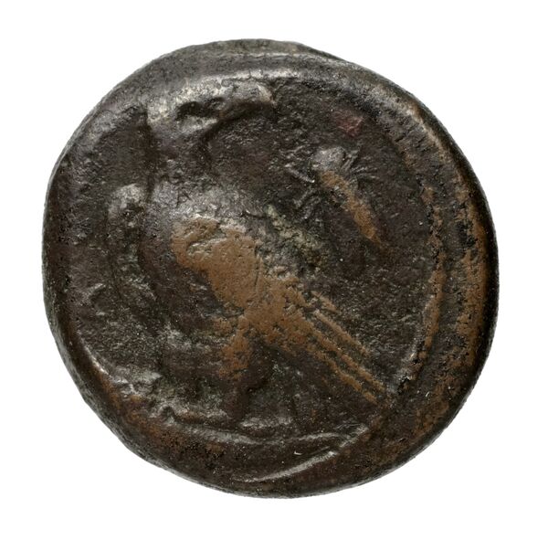 Agrigentum Puglisi 2009 24, obverse, bnf-iris