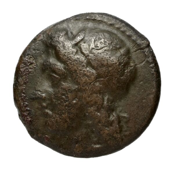 Phintias of Akragas Agrigentum Puglisi 2009 262, аверс, bnf-iris