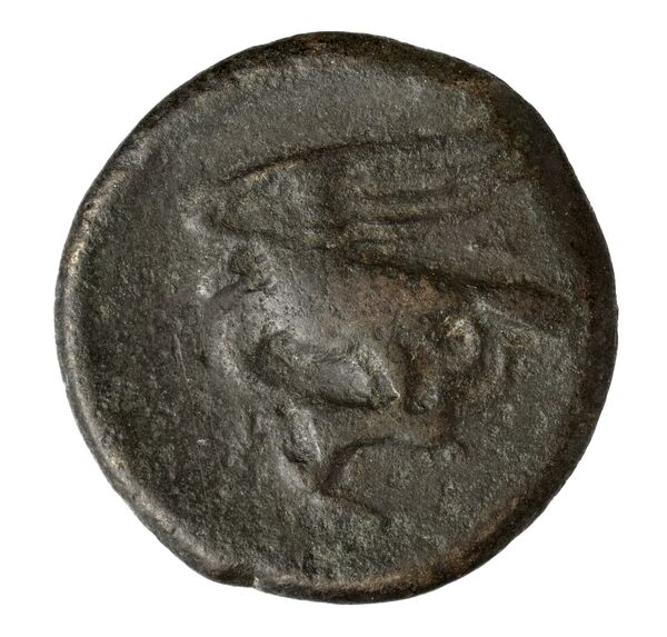 Agrigentum Puglisi 2009 30, reverse, bnf-iris