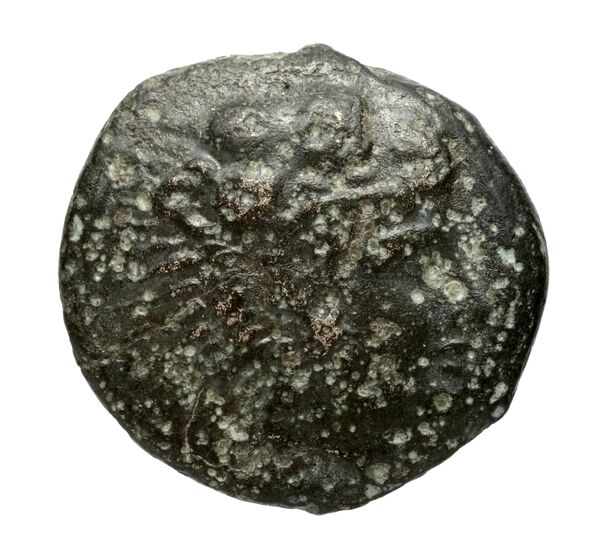 Selinus Puglisi 2009 284, аверс, bnf-iris