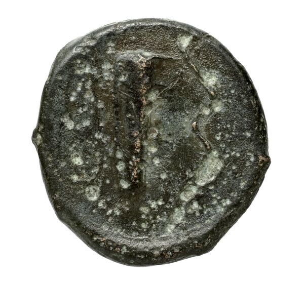 Selinus Puglisi 2009 284, реверс, bnf-iris