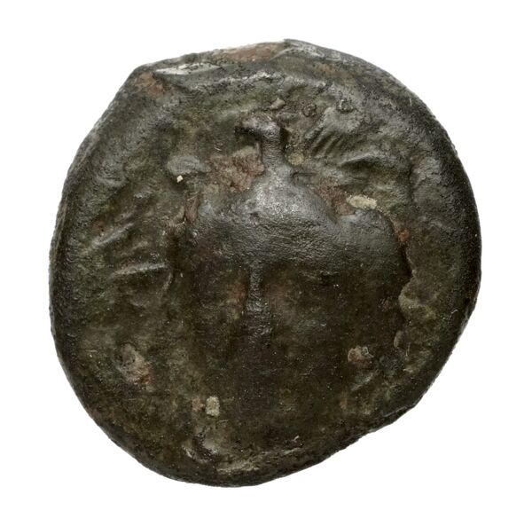 obverse Solus Puglisi 2009 287