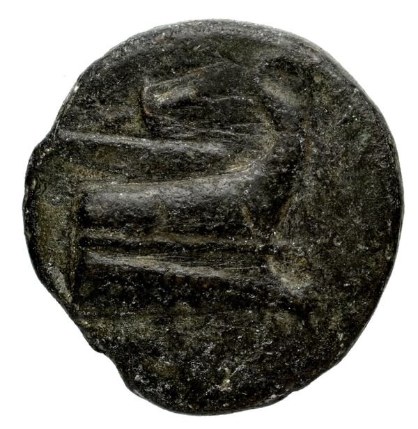 Phaselis Heipp-Tamer 1993 AE 2, reverse, bnf-iris