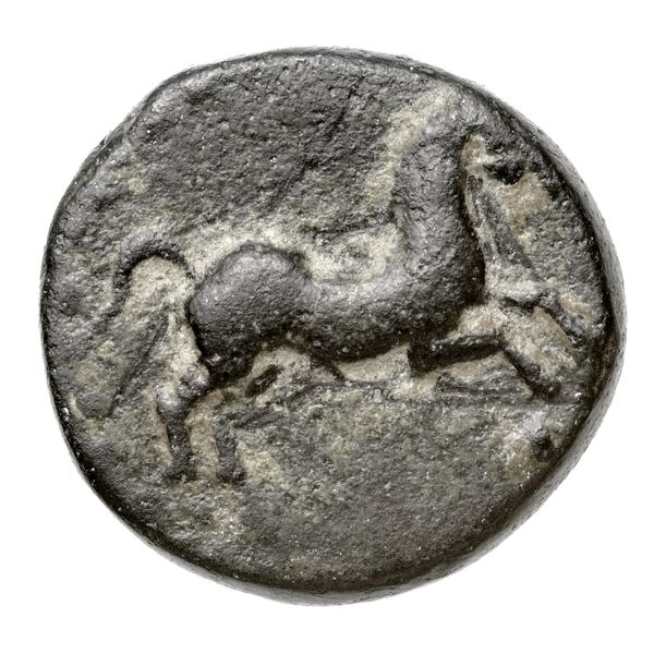 Aspendus BMC Aspendus 74, аверс, bnf-iris
