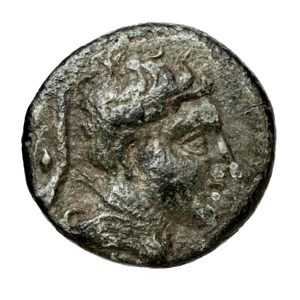 Pheneus BMC Pheneus 8-12, аверс, bnf-iris