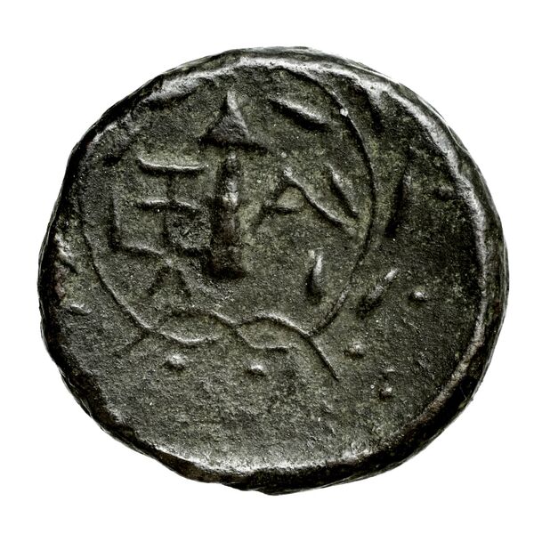 реверс Zacynthus BMC Zacynthus 67-75