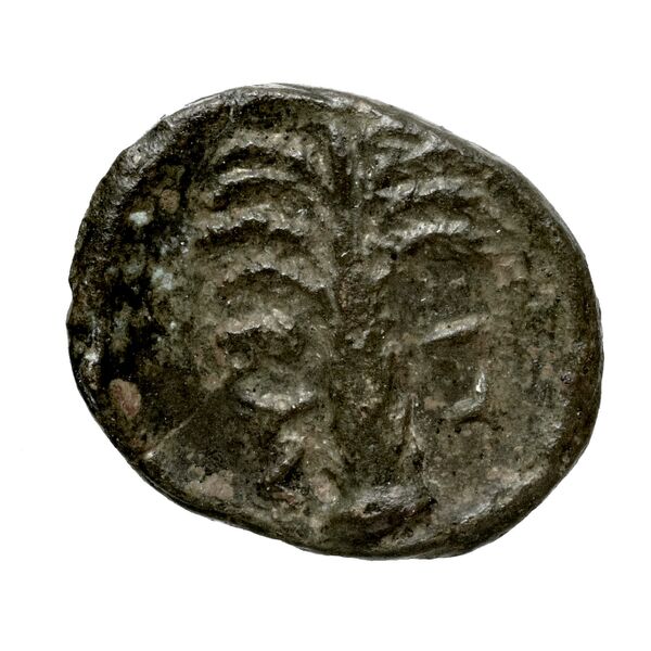 Halieis BMC Tiryns 2-5, реверс, bnf-iris