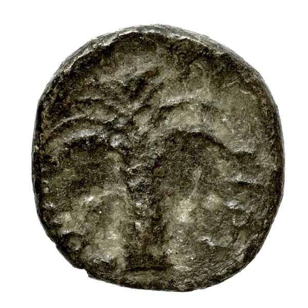 Halieis BMC Tiryns 2-5, реверс, bnf-iris