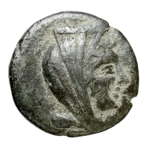 Thespiae BMC Thespiae 14-26, аверс, bnf-iris