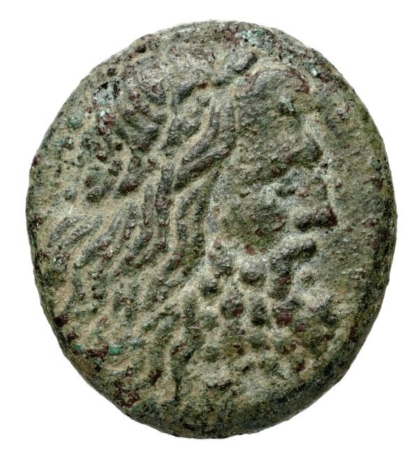 Philip V Macedon AMNG III.2 24, аверс, bnf-iris